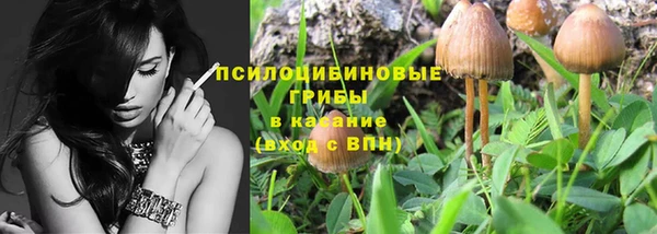 дживик Алексин