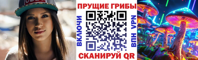 Псилоцибиновые грибы мицелий  сколько стоит  Медынь 